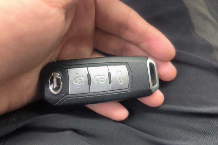 Used GAC Group Qizhi PHEV 2019 1.5L Smart Connect Premium Edition Vehicle Key