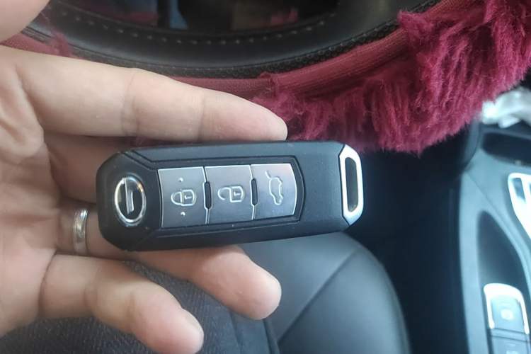 Used GAC Group Qizhi PHEV 2019 1.5L Smart Connect Premium Edition Vehicle Key