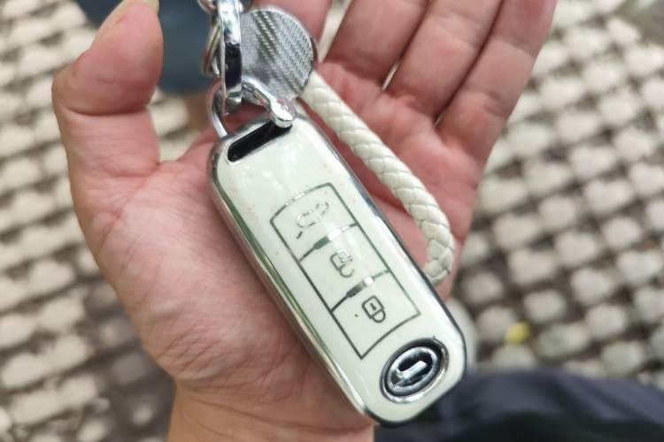 Used GAC Group Qizhi PHEV 2019 1.5L Smart Connect Luxury Edition Vehicle Key