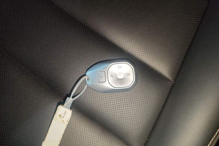 Used GAC Trumpchi E8 New Energy 2024 150km MAX Interior 1