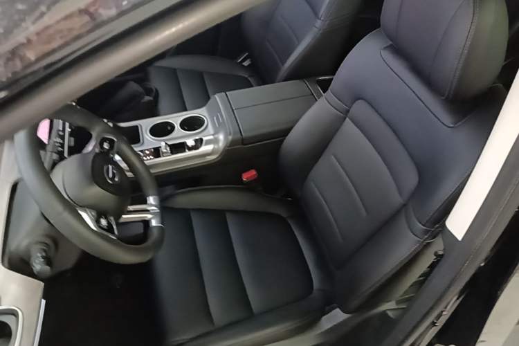 Used GAC Trumpchi E8 New Energy 2024 150km MAX Left Front Seat