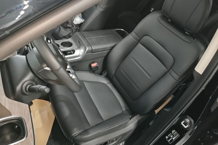Used GAC Trumpchi E8 New Energy 2024 150km MAX Left Front Seat
