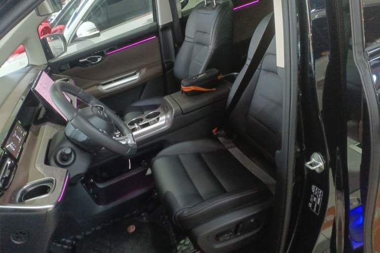 Used GAC Trumpchi E8 New Energy 2024 150km MAX Left Front Seat