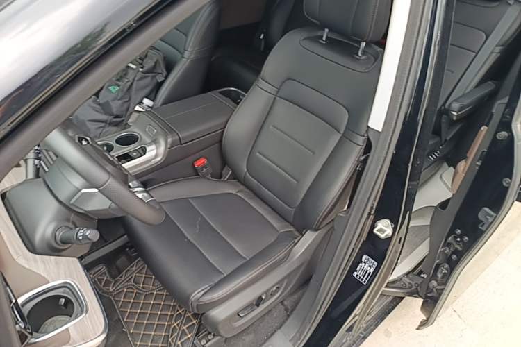 Used GAC Trumpchi E8 New Energy 2024 150km MAX Left Front Seat