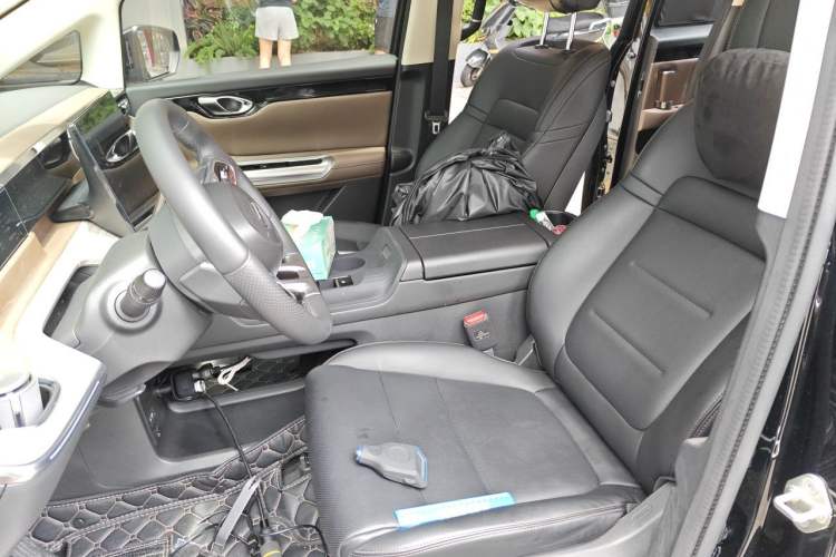 Used GAC Trumpchi E8 New Energy 2024 150km MAX Left Front Seat