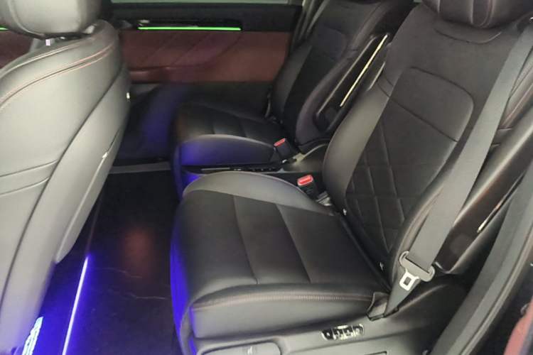 Used GAC Trumpchi E8 New Energy 2024 150km MAX+ Left Rear Seat