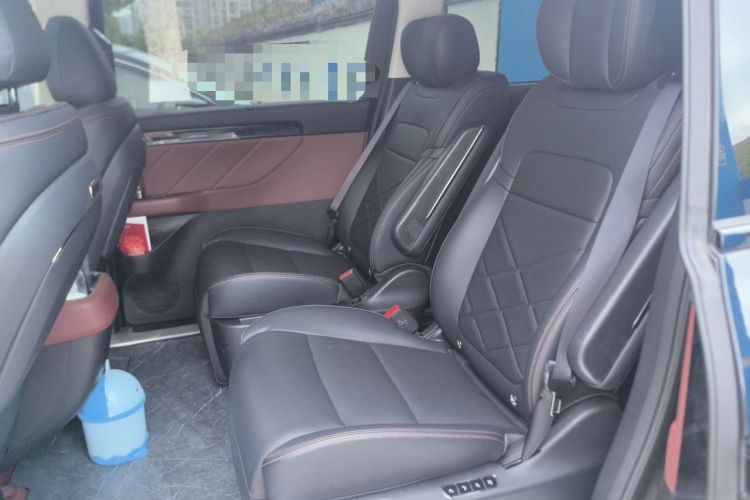 Used GAC Trumpchi E8 New Energy 2024 150km MAX+ Left Rear Seat