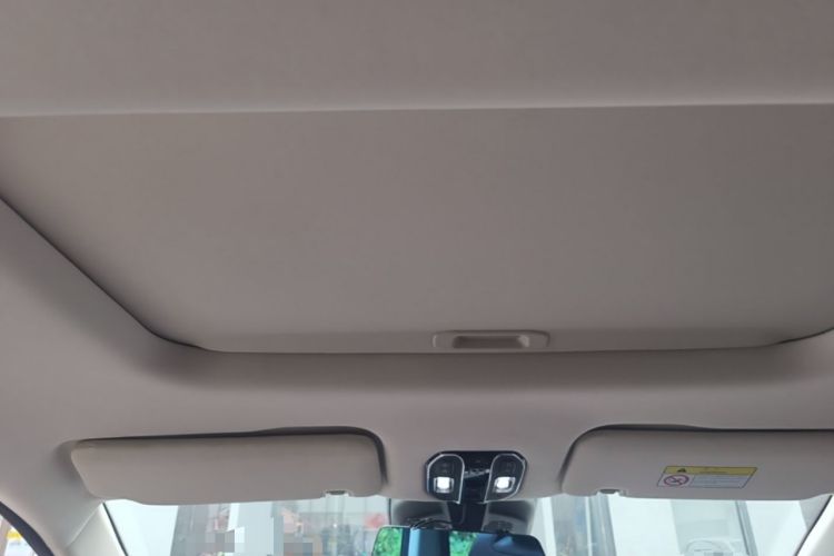 Used GAC Trumpchi E8 New Energy 2024 150km MAX+ Headliner