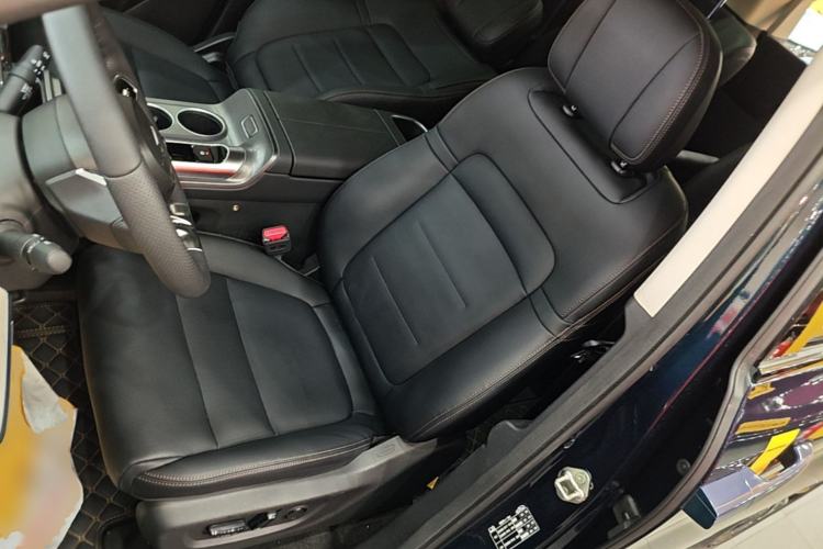 Used GAC Trumpchi E8 New Energy 2024 150km MAX Left Front Seat