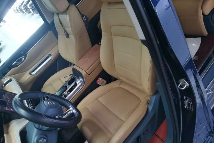 Used GAC Trumpchi E8 New Energy 2024 150km MAX Left Front Seat