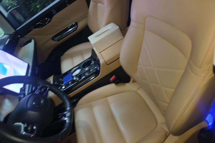 Used GAC Trumpchi E8 New Energy 2024 150km MAX+ Left Front Seat
