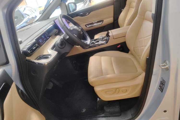 Used GAC Trumpchi E8 New Energy 2024 150km MAX Left Front Seat