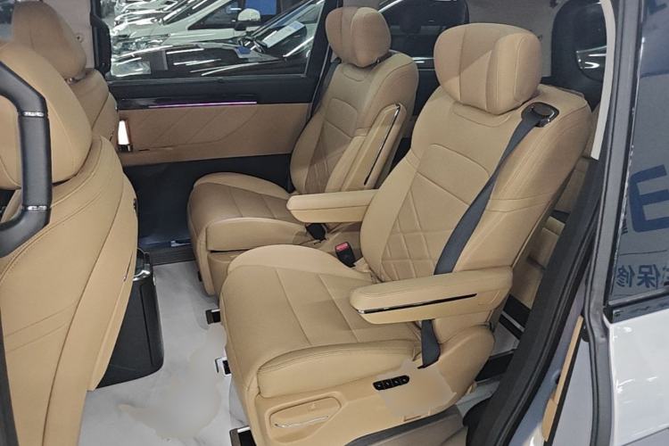 Used GAC Trumpchi E8 New Energy 2024 150km MAX+ Left Rear Seat