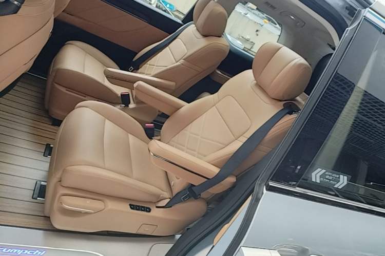 Used GAC Trumpchi E8 New Energy 2024 150km MAX+ Left Rear Seat
