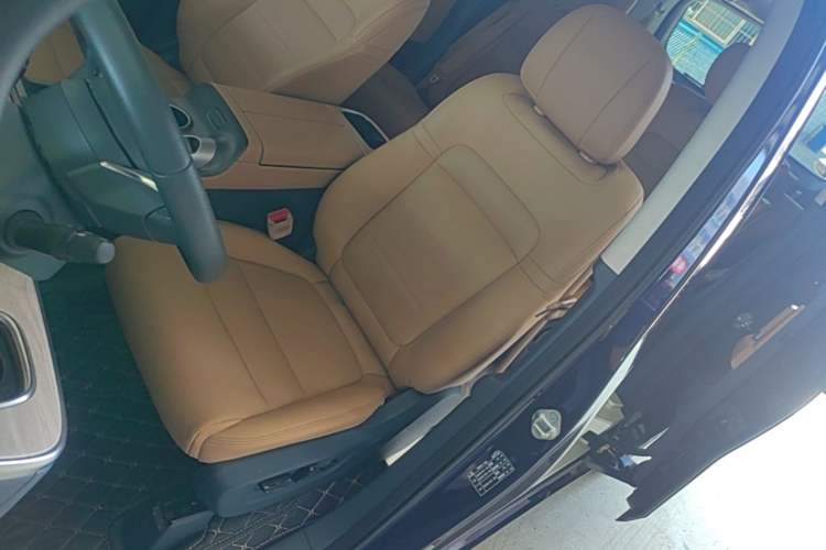 Used GAC Trumpchi E8 New Energy 2024 150km MAX Left Front Seat