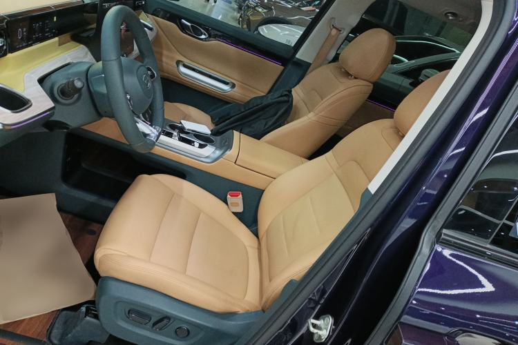 Used GAC Trumpchi E8 New Energy 2024 150km MAX Left Front Seat