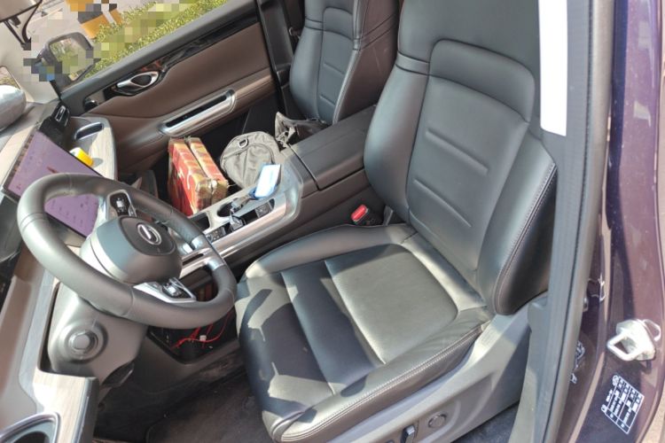 Used GAC Trumpchi E8 New Energy 2024 150km Longteng Starry Night Edition Left Front Seat