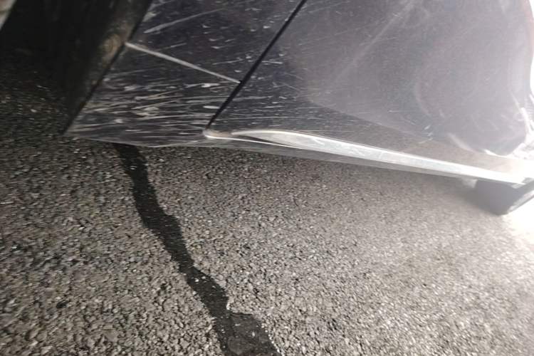 Used GAC Trumpchi E8 New Energy 2024 150km MAX+ Left Side Sill