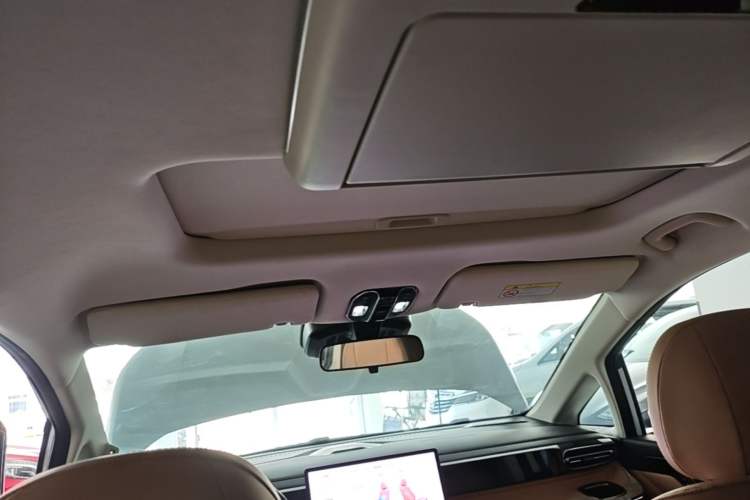 Used GAC Trumpchi E8 New Energy 2024 150km MAX+ Headliner