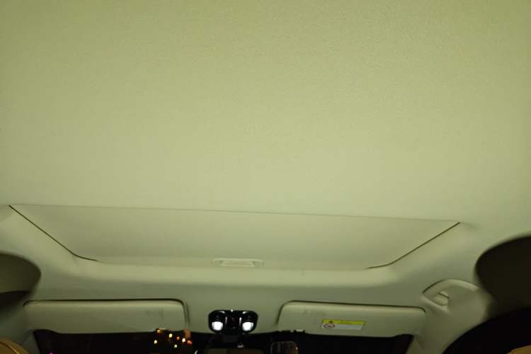 Used GAC Trumpchi E8 New Energy 2024 150km MAX+ Headliner