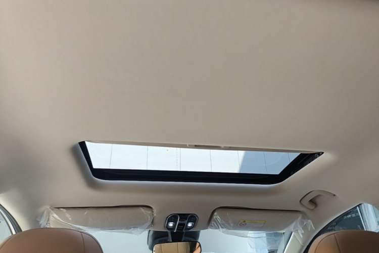 Used GAC Trumpchi E8 New Energy 2024 150km MAX+ Headliner