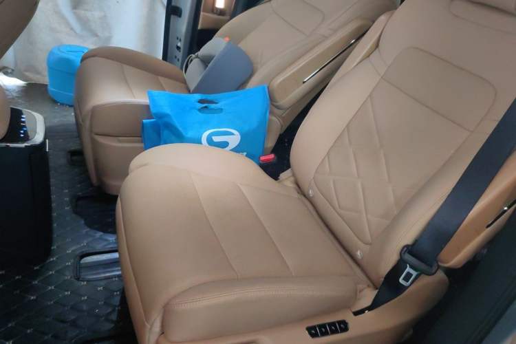 Used GAC Trumpchi E8 New Energy 2024 150km Dragon Roar Starry Night+ Left Rear Seat