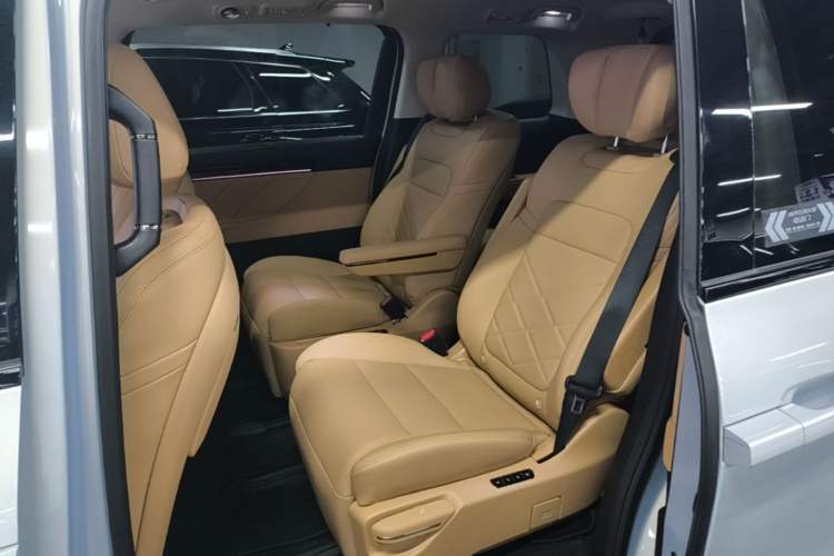 Used GAC Trumpchi E8 New Energy 2024 150km MAX+ Left Rear Seat