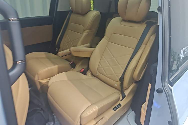 Used GAC Trumpchi E8 New Energy 2024 150km MAX+ Left Rear Seat