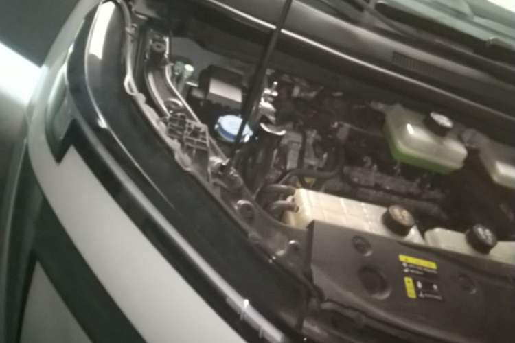 Used GAC Trumpchi E8 New Energy 2024 150km MAX Engine Bay Right