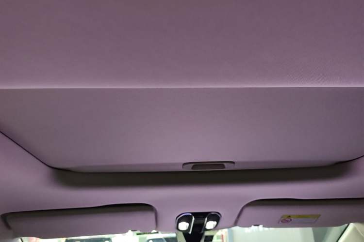 Used GAC Trumpchi E8 New Energy 2024 150km PRO Headliner