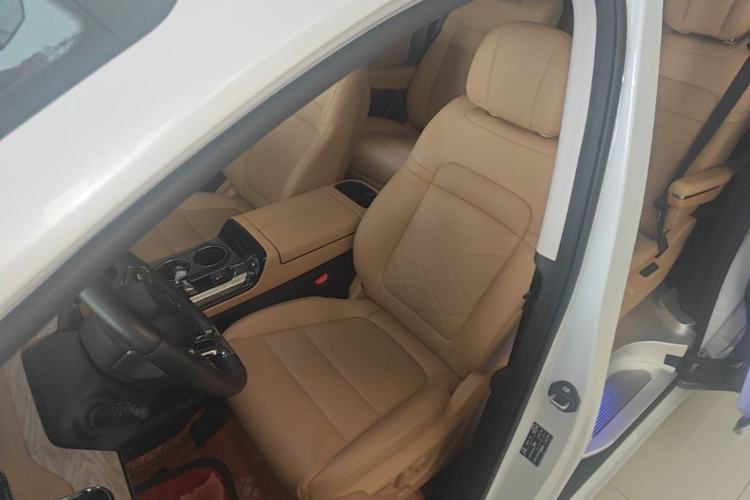 Used GAC Trumpchi E8 New Energy 2024 150km MAX+ Left Front Seat