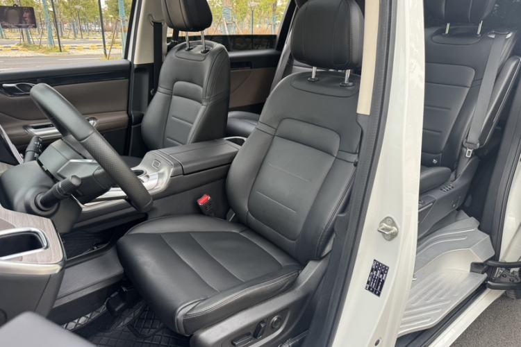 Used GAC Trumpchi E8 New Energy 2024 150km Longteng Starry Night Edition Left Front Seat
