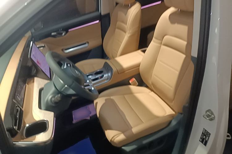 Used GAC Trumpchi E8 New Energy 2024 150km MAX Left Front Seat