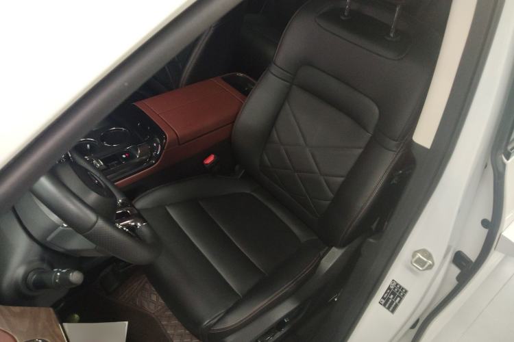 Used GAC Trumpchi E8 New Energy 2024 150km MAX+ Left Front Seat