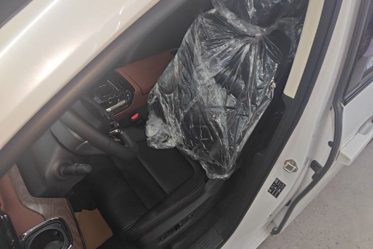Used GAC Trumpchi E8 New Energy 2024 150km MAX+ Left Front Seat