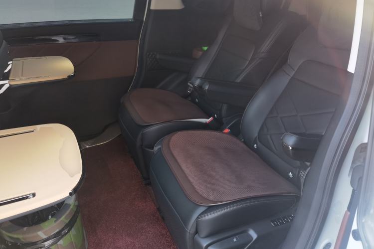Used GAC Trumpchi E8 New Energy 2024 150km MAX+ Left Rear Seat