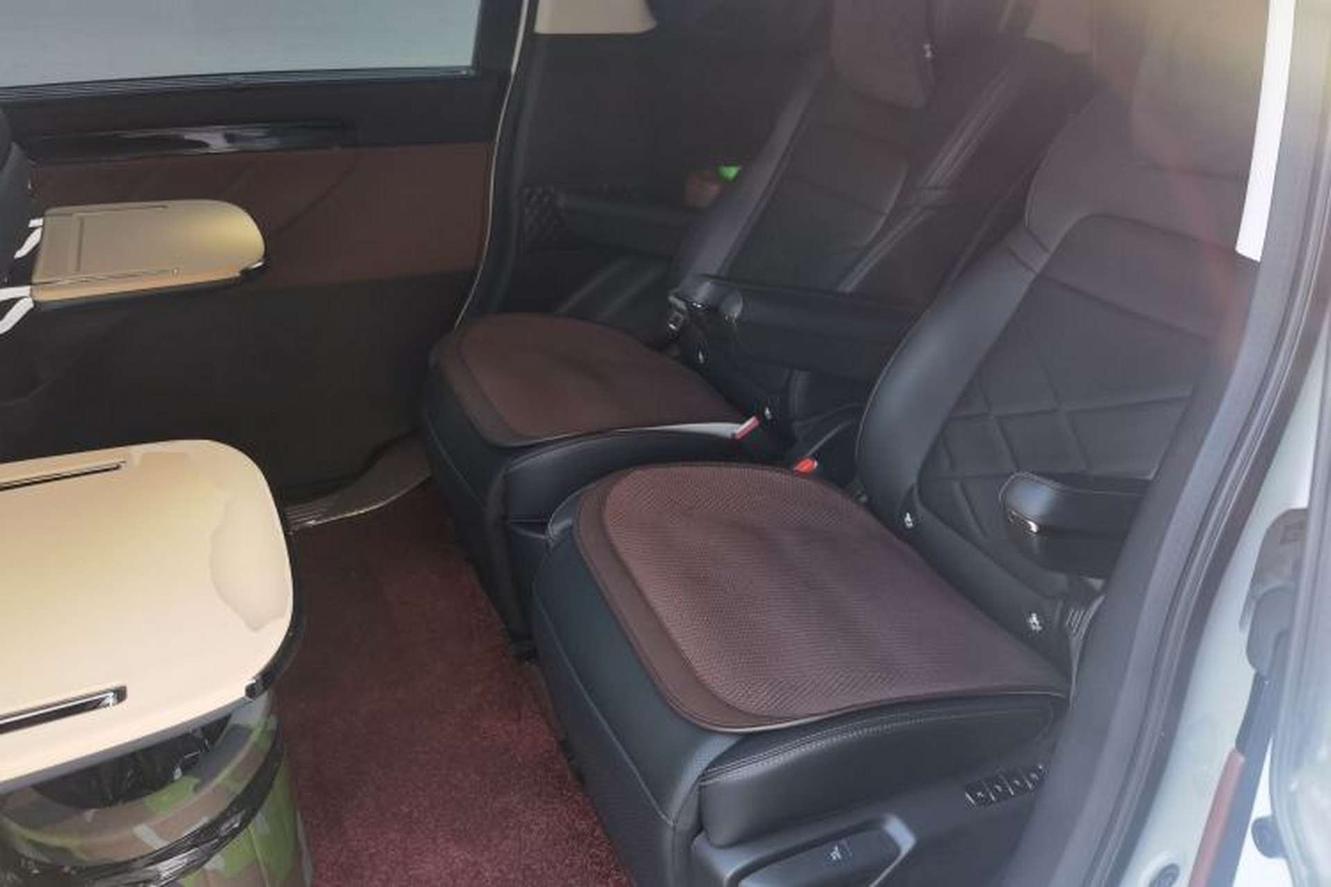 Used GAC Trumpchi E8 New Energy 2024 150km MAX+ Left Rear Seat