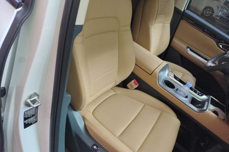 Used GAC Trumpchi E8 New Energy 2024 150km Longteng Starry Night Edition Right Front Seat