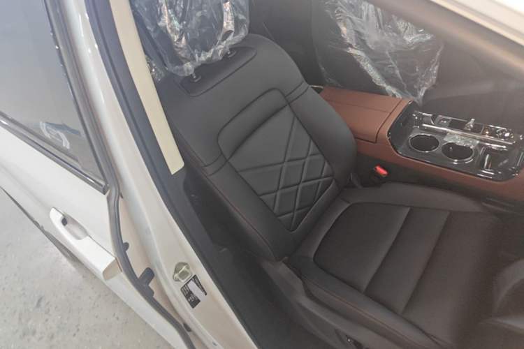 Used GAC Trumpchi E8 New Energy 2024 150km MAX+ Right Front Seat