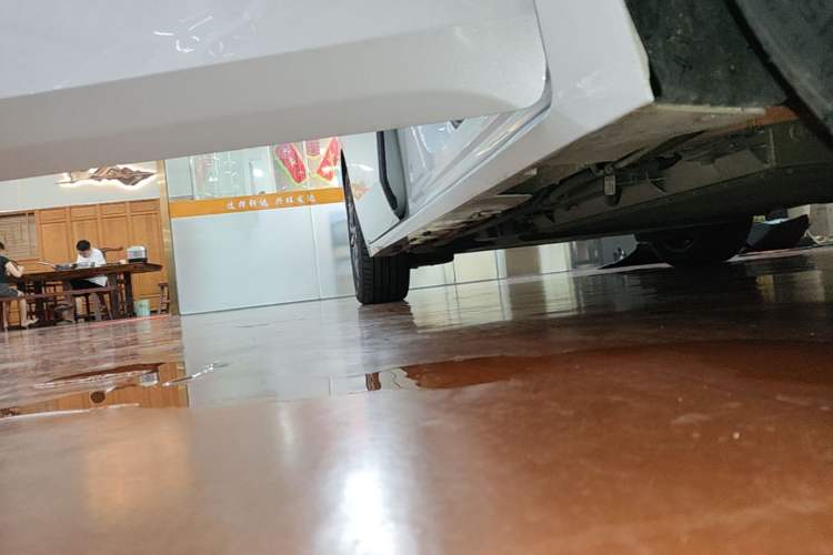 Used GAC Trumpchi E8 New Energy 2024 150km MAX Right Side Sill