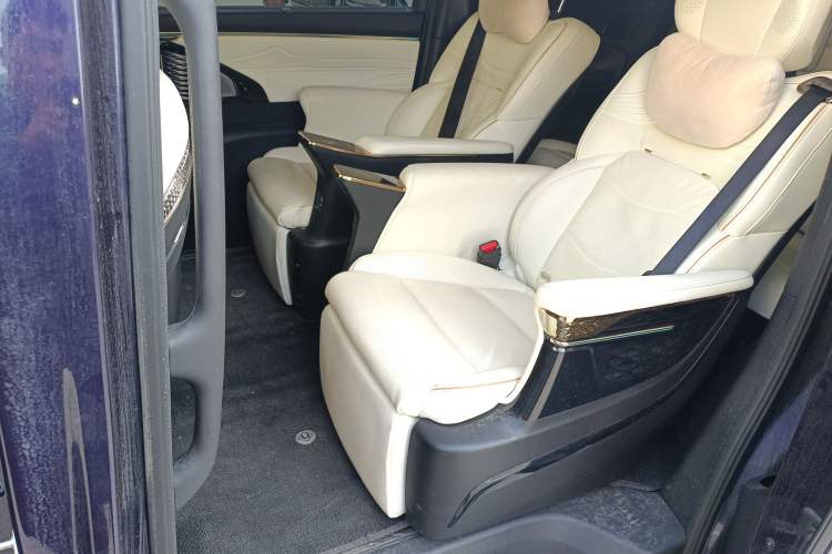 Used GAC Trumpchi E9 2023 E9 MAX Left Rear Seat