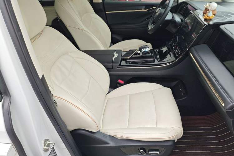 Used GAC Trumpchi E9 2023 E9 MAX Right Front Seat