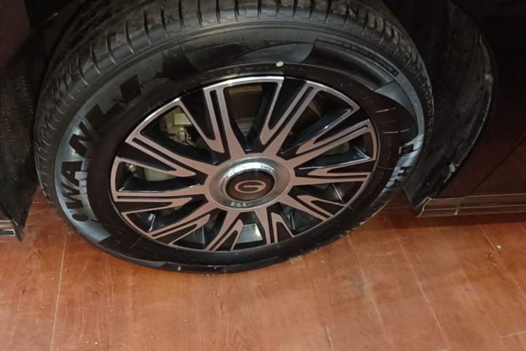 Used GAC Trumpchi E9 2023 E9 MAX Exterior 4