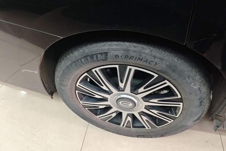 Used GAC Trumpchi E9 2023 E9 PRO Exterior 5