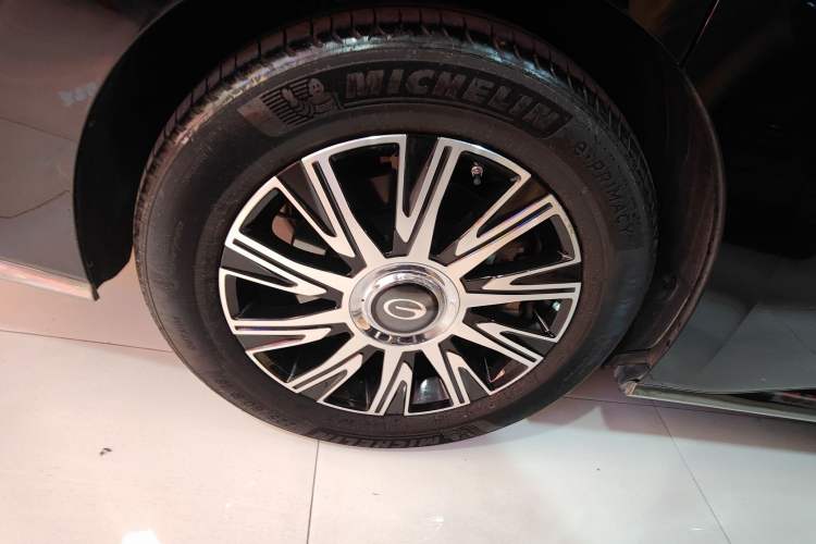 Used GAC Trumpchi E9 2023 E9 MAX Exterior 8