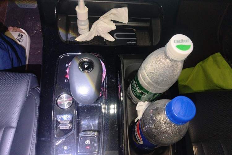 Used GAC Trumpchi E9 2023 E9 Master Model Gear Lever