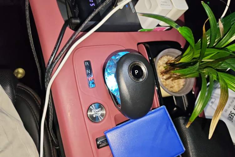 Used GAC Trumpchi E9 2023 E9 Championship Edition Gear Lever