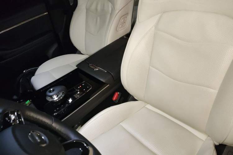 Used GAC Trumpchi E9 2023 E9 Master Model Left Front Seat