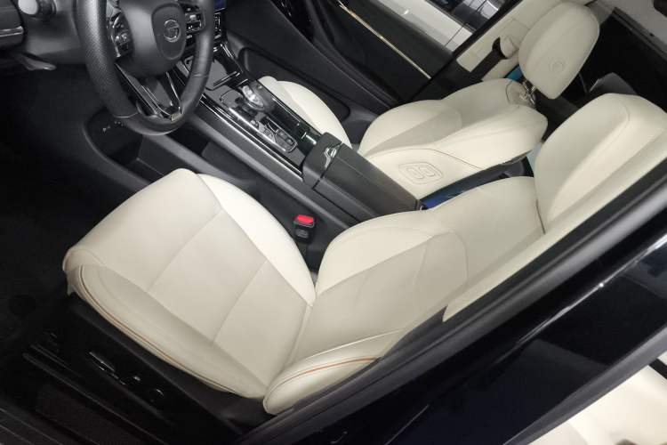 Used GAC Trumpchi E9 2023 E9 MAX Left Front Seat