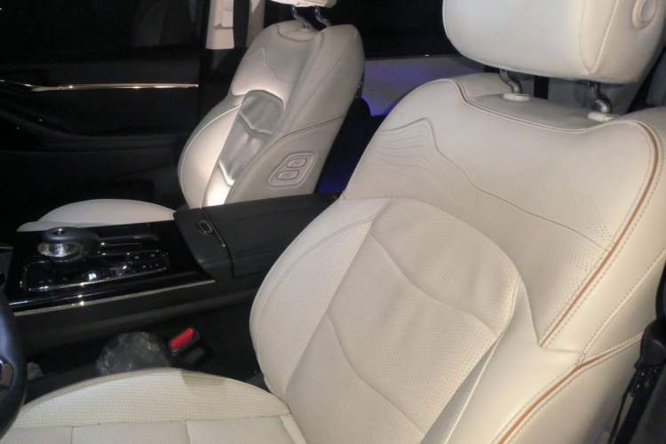 Used GAC Trumpchi E9 2023 E9 Master Model Left Front Seat
